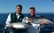 Alaska3